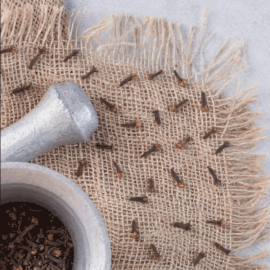 Ceylon Cloves